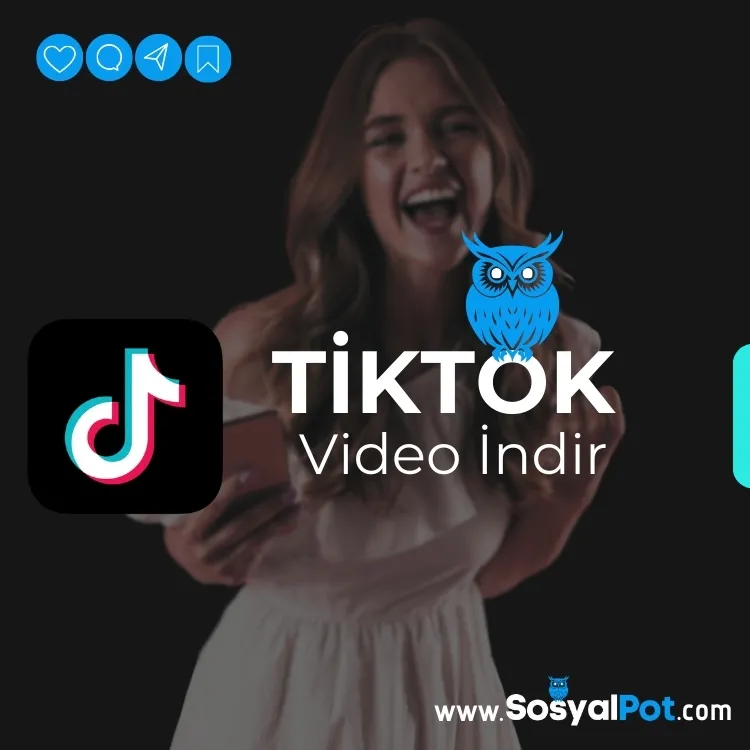 TikTok Video İndir